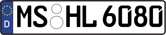 MS-HL6080