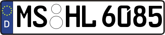 MS-HL6085