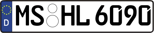 MS-HL6090