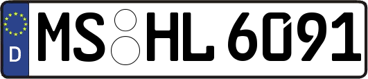 MS-HL6091