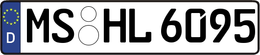 MS-HL6095