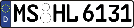 MS-HL6131