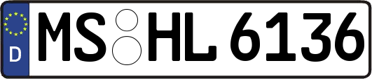MS-HL6136