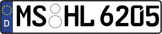 MS-HL6205