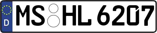 MS-HL6207