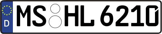 MS-HL6210