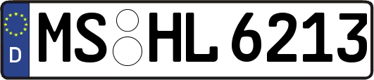 MS-HL6213