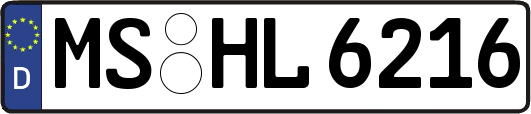 MS-HL6216
