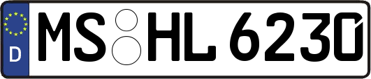 MS-HL6230
