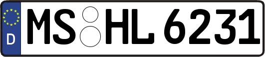 MS-HL6231