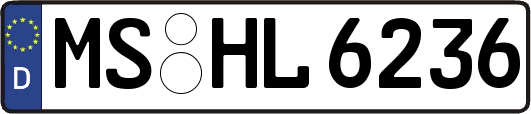 MS-HL6236