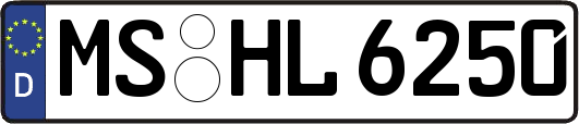 MS-HL6250