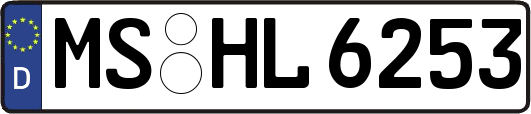 MS-HL6253