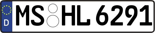 MS-HL6291