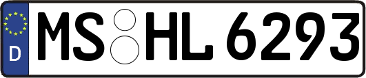MS-HL6293