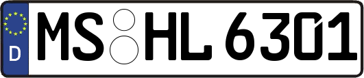 MS-HL6301