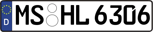 MS-HL6306