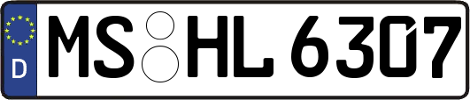 MS-HL6307