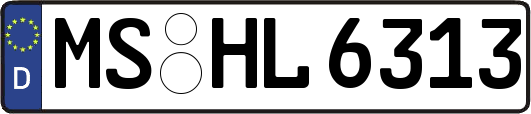 MS-HL6313