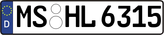 MS-HL6315