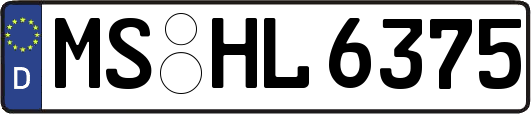MS-HL6375