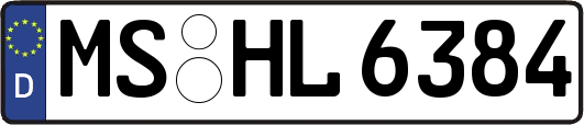 MS-HL6384