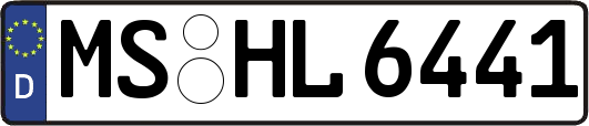 MS-HL6441