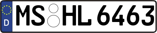 MS-HL6463