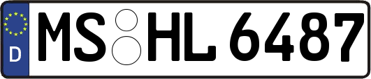 MS-HL6487