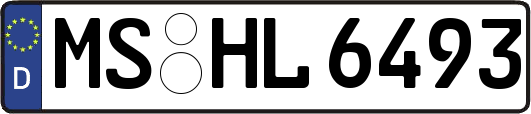 MS-HL6493