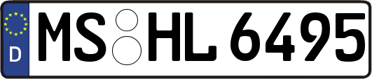 MS-HL6495