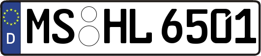 MS-HL6501
