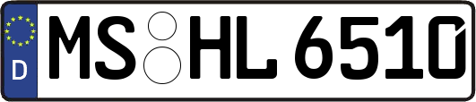 MS-HL6510