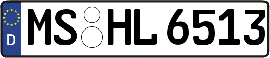 MS-HL6513