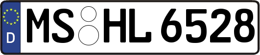 MS-HL6528