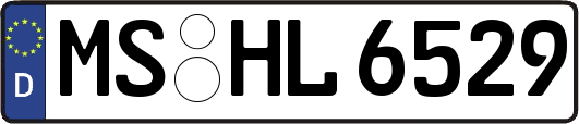 MS-HL6529