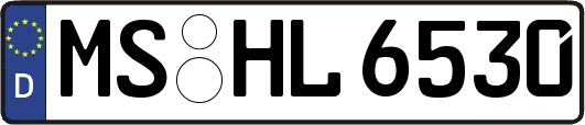 MS-HL6530