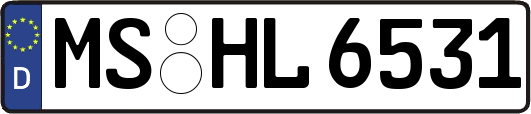 MS-HL6531