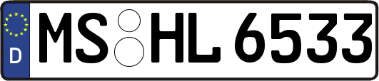 MS-HL6533