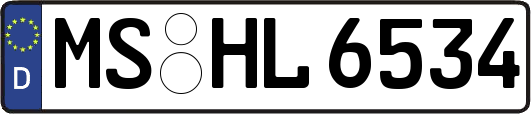 MS-HL6534