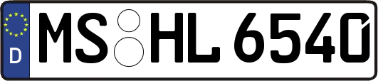 MS-HL6540
