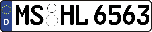 MS-HL6563
