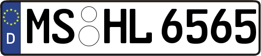 MS-HL6565