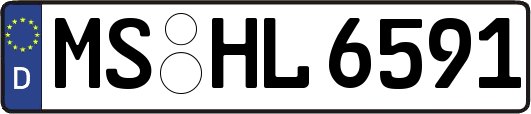 MS-HL6591