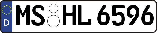 MS-HL6596