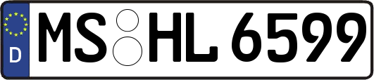 MS-HL6599