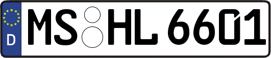 MS-HL6601