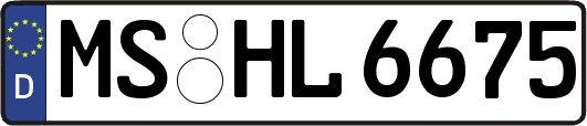 MS-HL6675