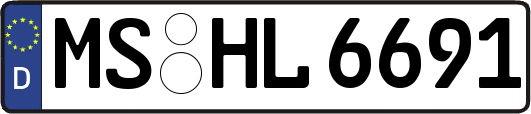 MS-HL6691