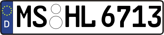 MS-HL6713